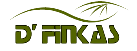 Definkas – Servicios de Formación - definkas-formacion